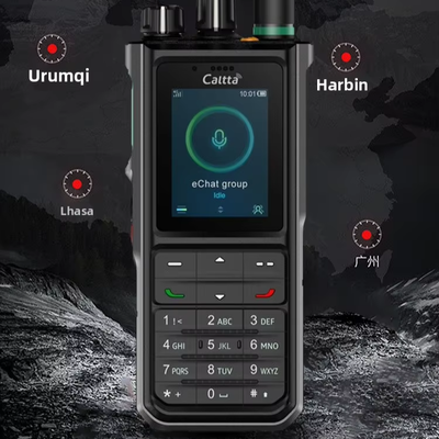comprar Walkie Talkie Caltta E690 4G POC com Alcance de 5000km, Design à Prova d'Água e Função de Posicionamento fabricação em linha